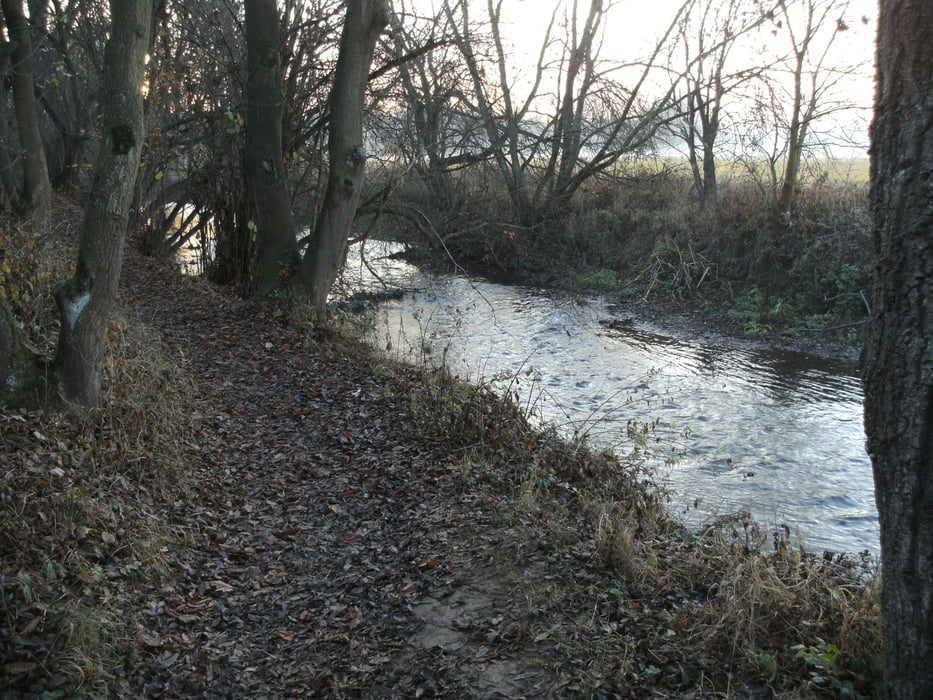 Netterundweg