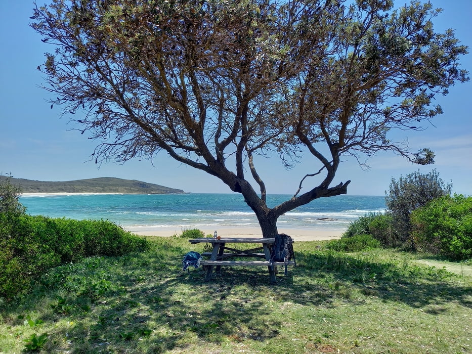 Yuraygir NP-Shelly Beach Track