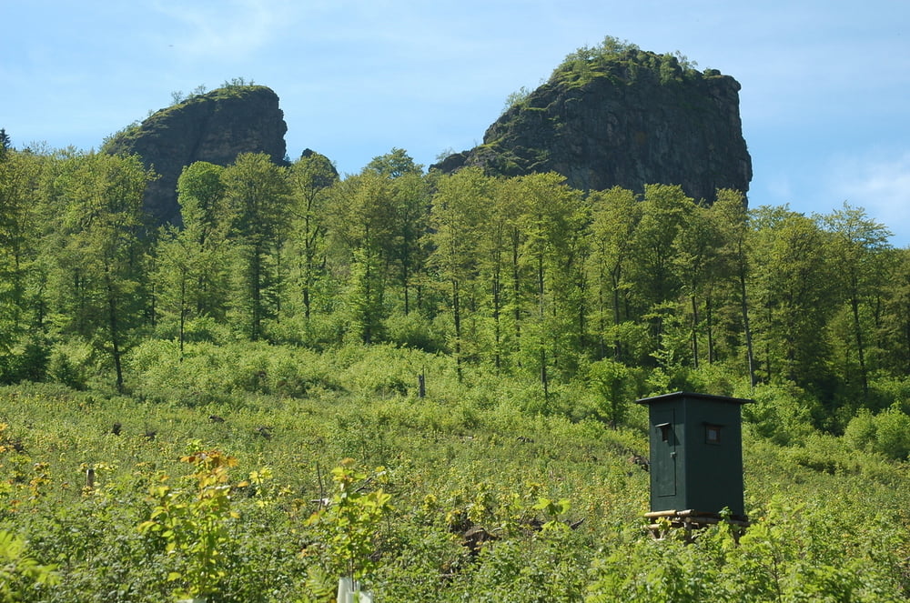 Willingen Hiebammen Hütte