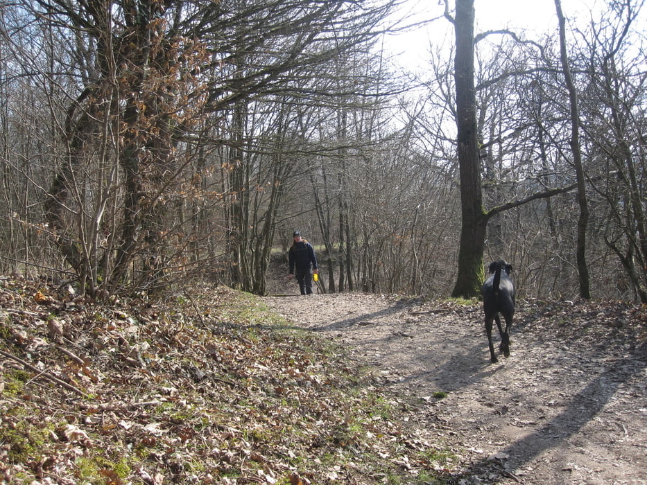 Von Riessbach nach Monte Royal