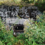 Wandern: Westwall-Bunker-Rundwanderung im Buhlert (Tour 94191)