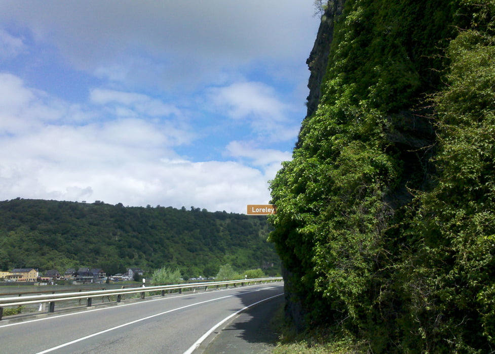 Fahrrad Touring Rheinroute, rechtes Ufer, rheinabwärts 3