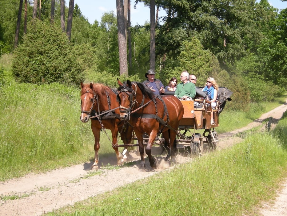 Fahrrad Touring Lüneburger Heide 2 Schneverdingen