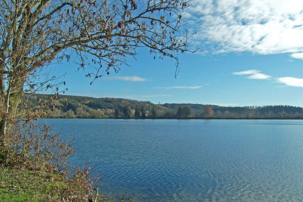 Wandern: Bad Wörishofen, zum Bingstetter See Ostufer (Tour 146813)