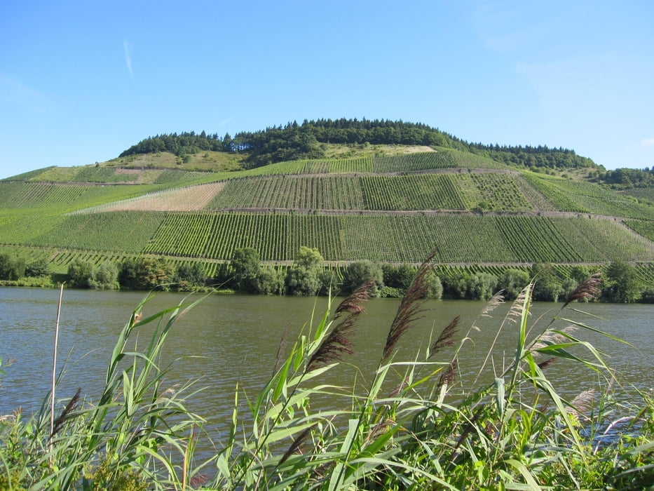 Fahrrad Bernkastel Kues