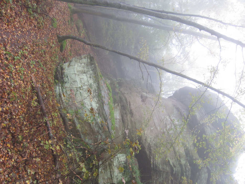 Wandern Drachenfels Bad Durkheim Tour