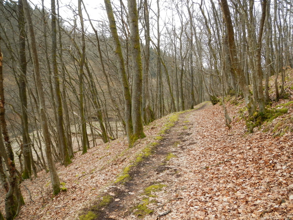 Mountainbike Baumholder IdarOberstein Var.2 (NaheAuen