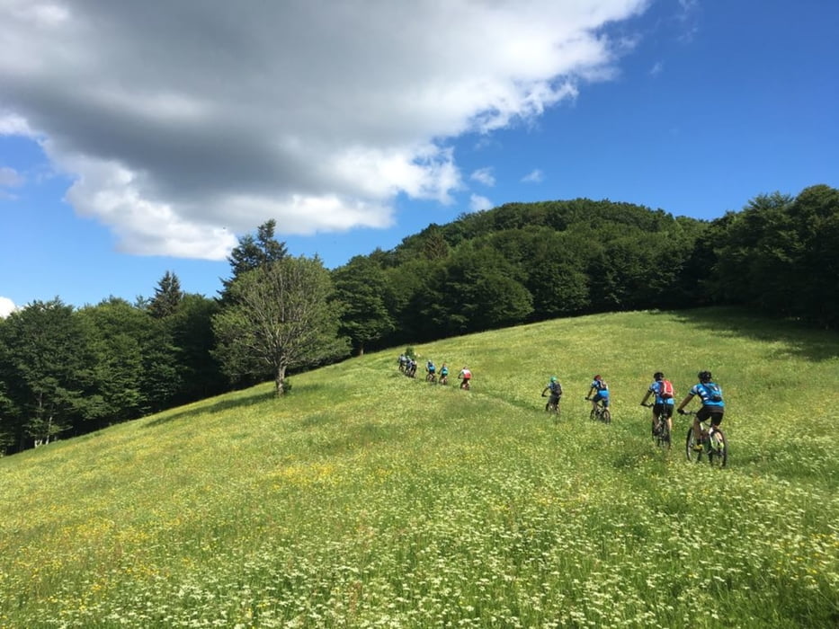 Mountainbike Von Masevaux Im Dollertal Zum Ballon D Alsace Tour 166595