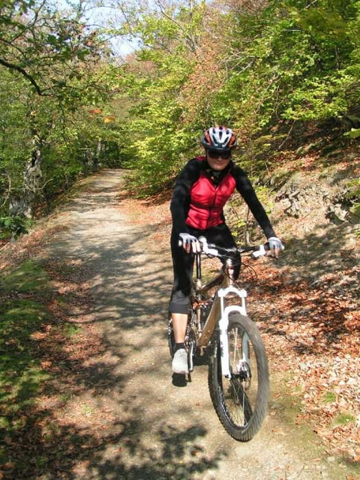 urwaldsteig edersee fahrrad