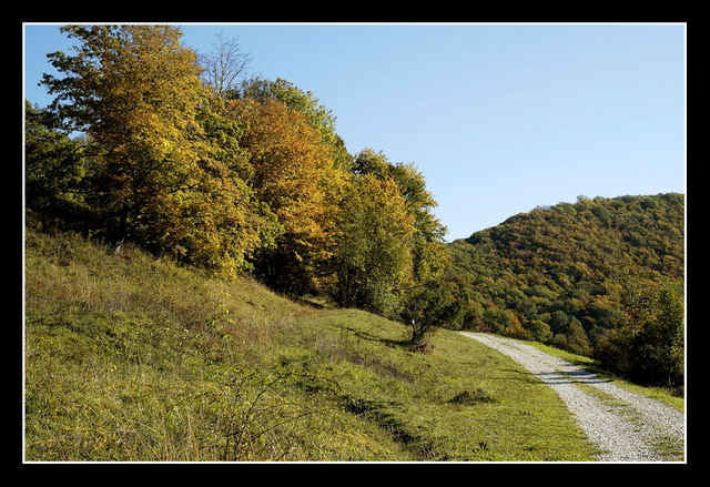 Wandern Deutsches Haus Bossler Haringen Deutsches Haus