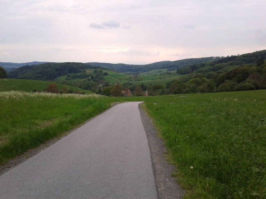 Mountainbike Heppenheim Rimbach Fürth (Tour 118501)