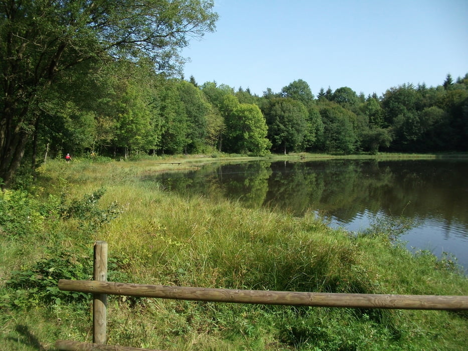 Mountainbike Winsbornkrater & Wacholderheide mit Trails