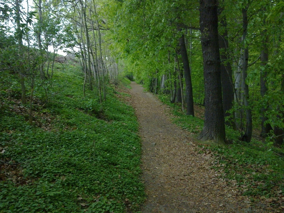 6 Km Fahrrad Kalorien