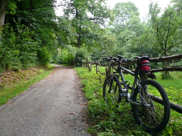 Mountainbike Oftersheim, Heidelberg, Weißer Stein, und