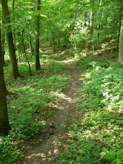 Mountain bike: Große Runde ab Stadel (Tour 8205)