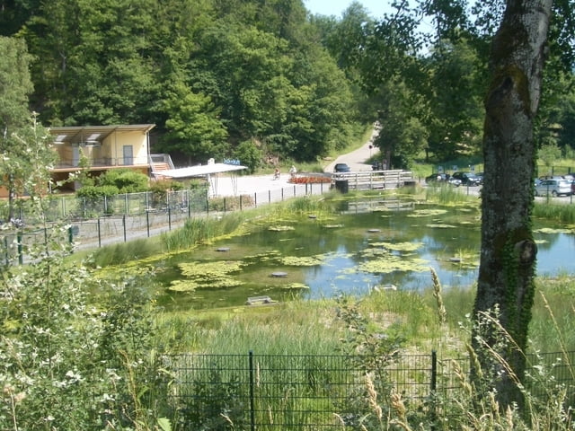 Mountainbike: Weisenbach - Yburg - Geroldsau - Bütthof ...