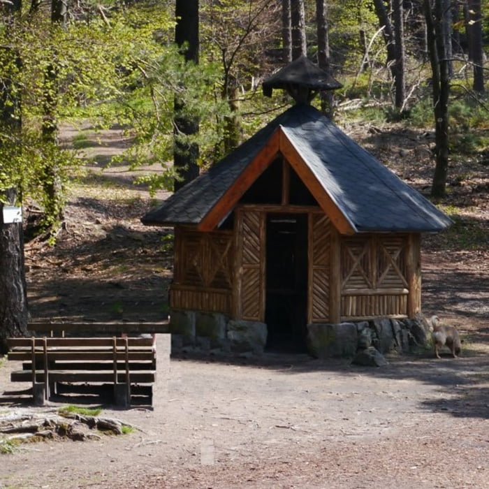 Wandern Pfalzer Rundwanderung Mit Einkehr Haus An Den Fichten