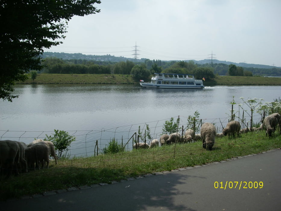 fahrrad essen kemnader see ruhr entlang