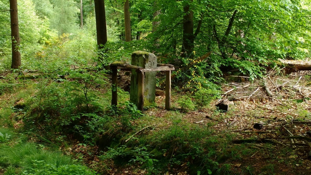 Fahrrad Touring 170520Kirkel Bechhofen (Tour 157337)