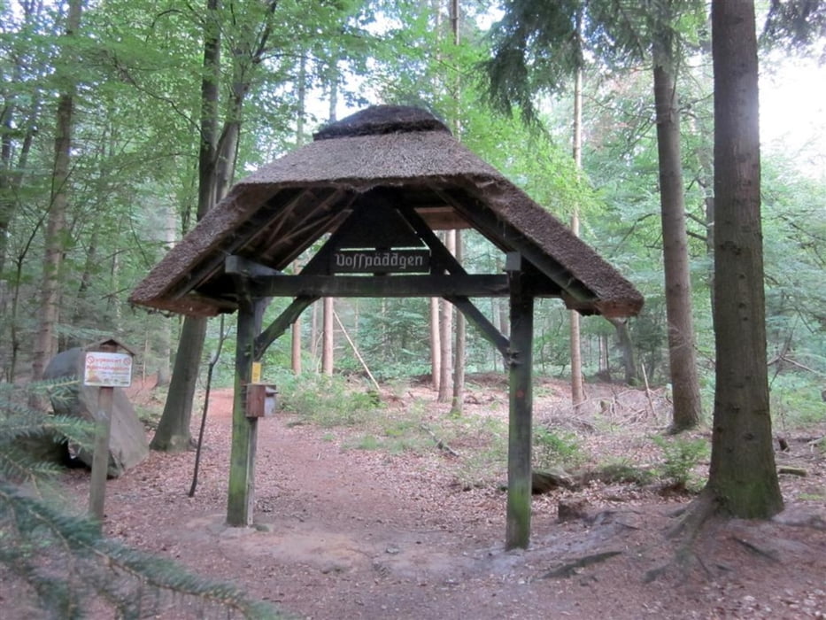 Wandern Bippen Waldlehrpfad "Vosspäddken" GesamtTour