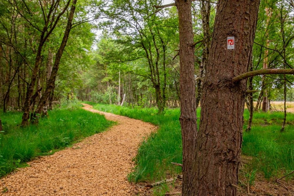 Wandern: Nordpfad Dört Moor (Tour 174347)