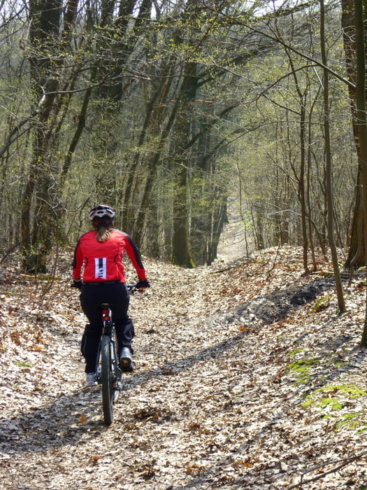 Mountainbike: Von Kaiserswerth Durch Grafenberger Und Aaper Wald (Tour ...