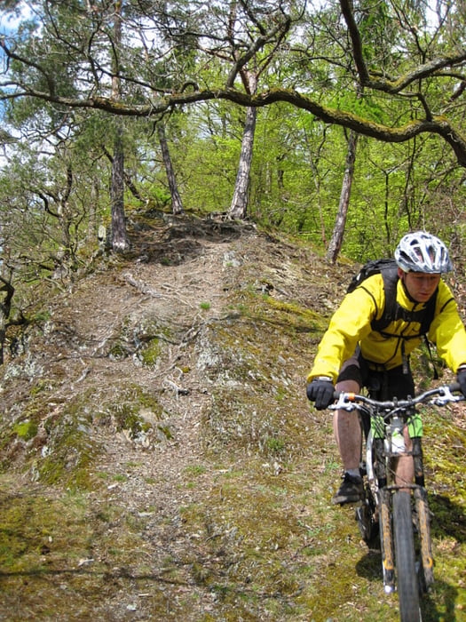 urwaldsteig edersee fahrrad