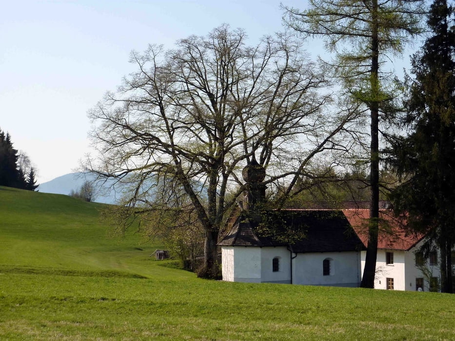 Mountainbike Arrach Große Erlebnisrunde (Tour 80167)