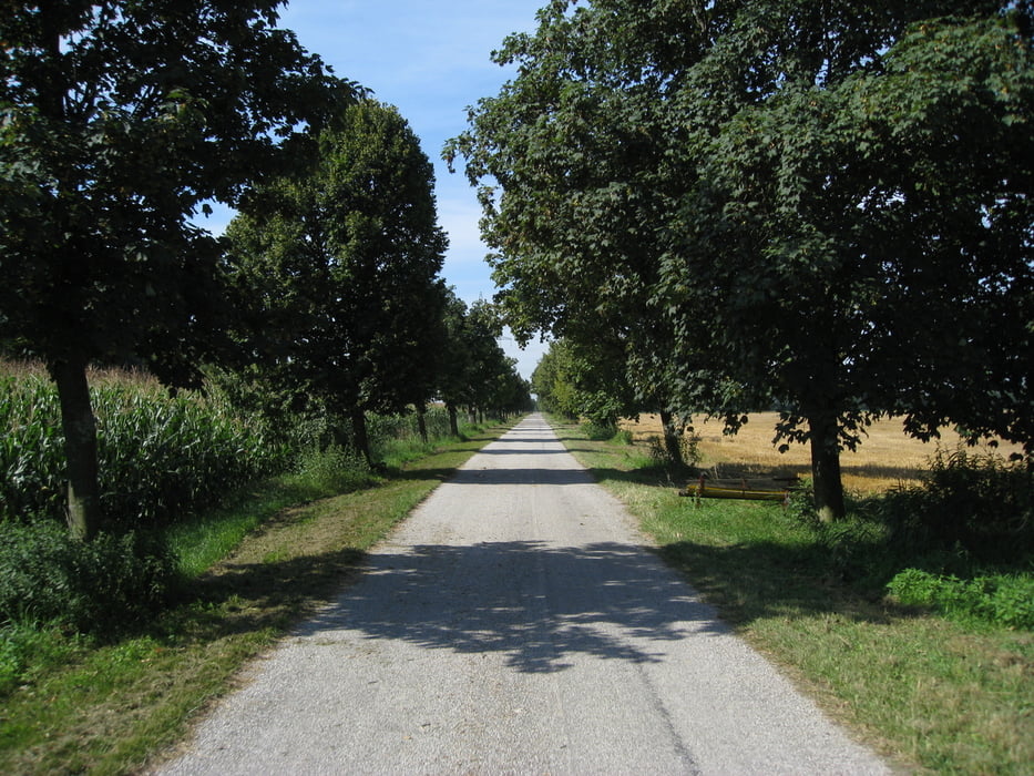 altes fahrrad wo.kann man es abgeben