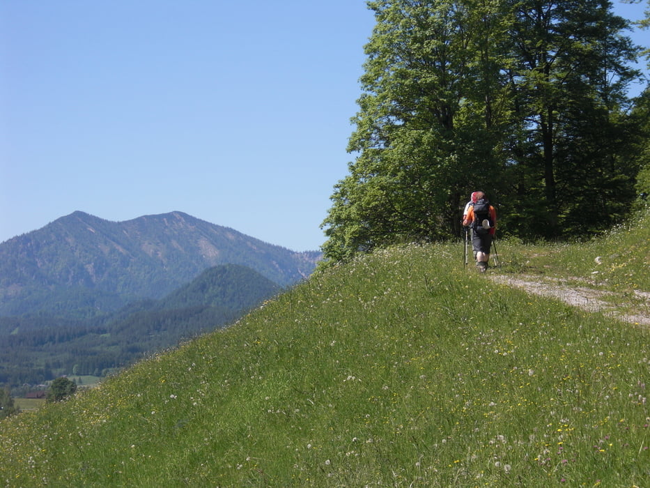 Wandern: Niederösterreichischer Mariazellerweg Tag 8 (Tour 84963)