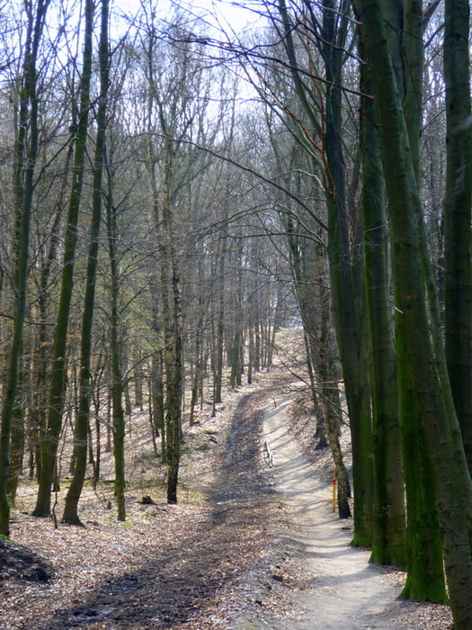 Mountainbike: Von Kaiserswerth Durch Grafenberger Und Aaper Wald (Tour ...