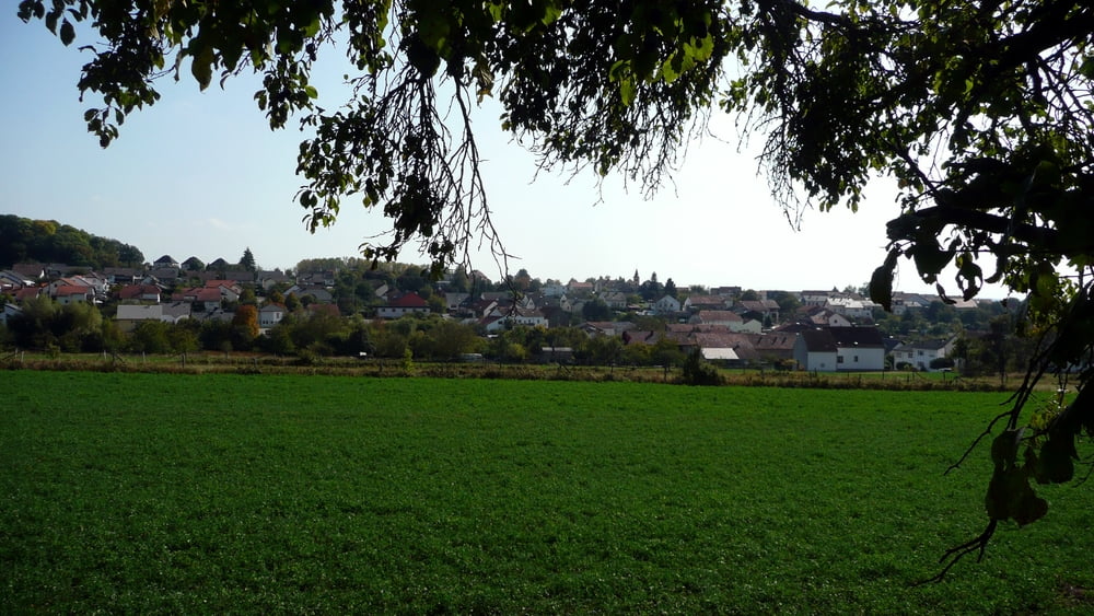 Wandern: Fürweiler - Cottendroff (Tour 46594)