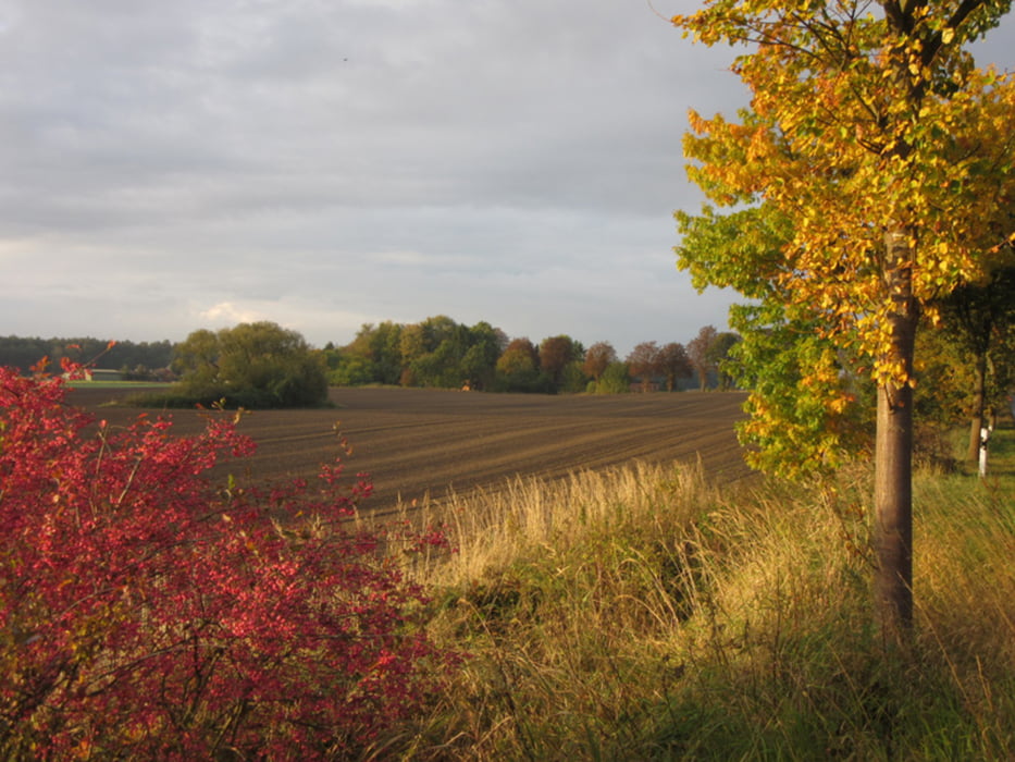 Wandern Holstein (Lüneburg Lübeck Kiel) (Tour 154611)