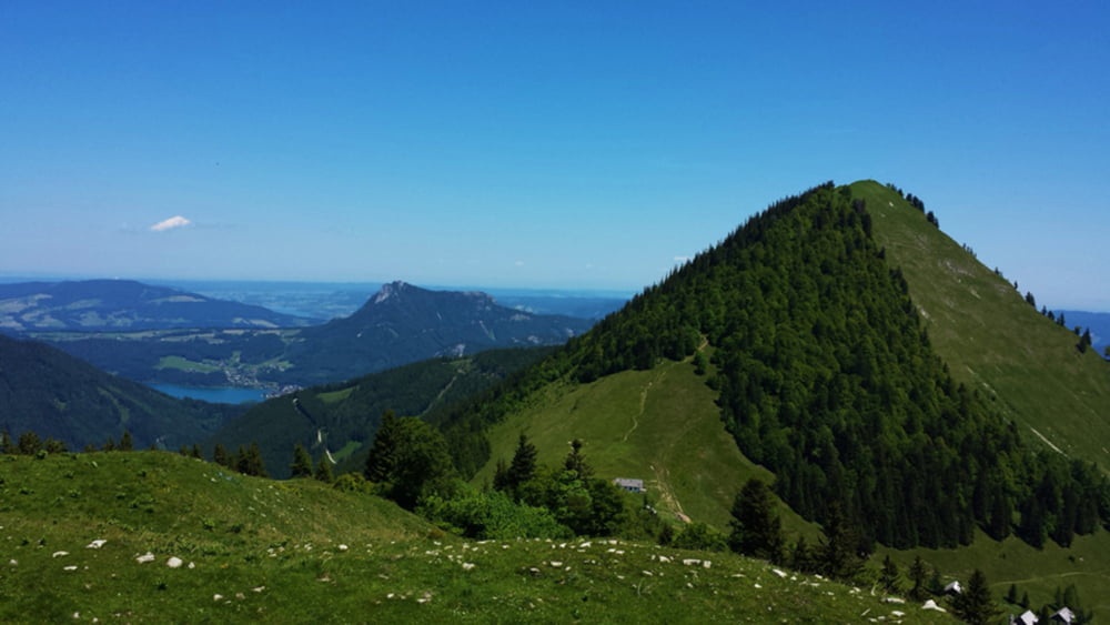 Wandern Loibersbacher Höhe Rundweg (Tour 131416)