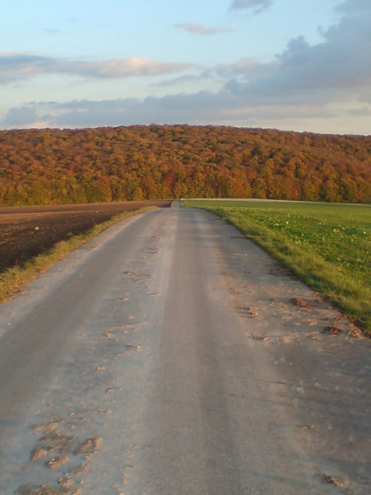 fahrrad höchberg