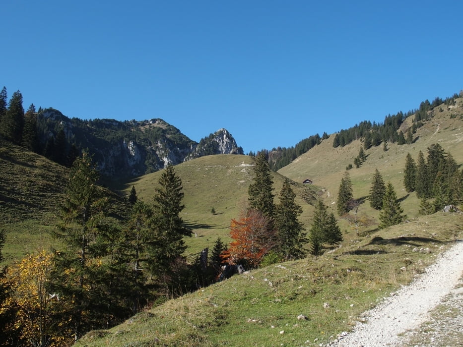 Bergtour Brannenburg Lechneralm Hochsaalwand Rampoldalm Schuhbraualm Schlipfgrubalm Tour 166083