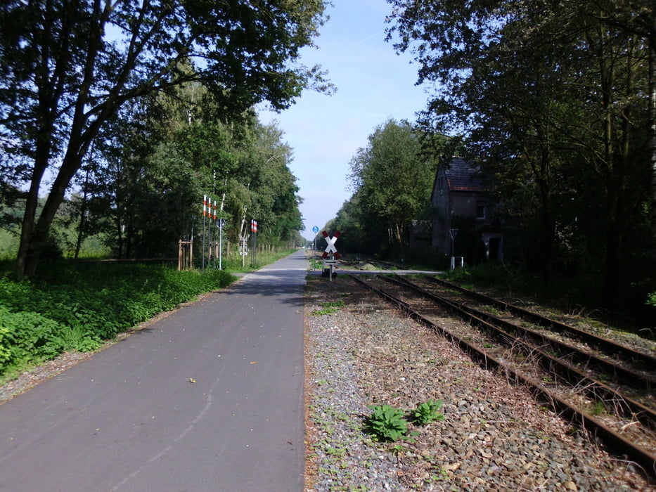 Fahrrad Münsterland