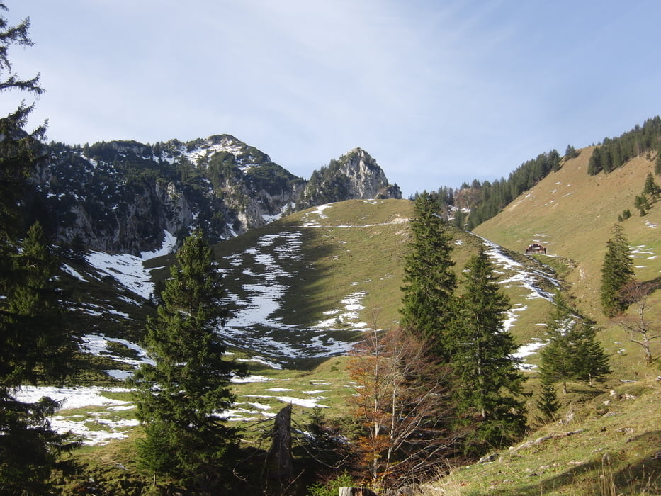 Bergtour Brannenburg Lechneralm Hochsalwand Schuhbraualm Tour 137275