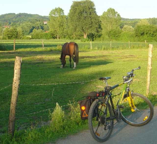 1 tag fahrrad tour holland