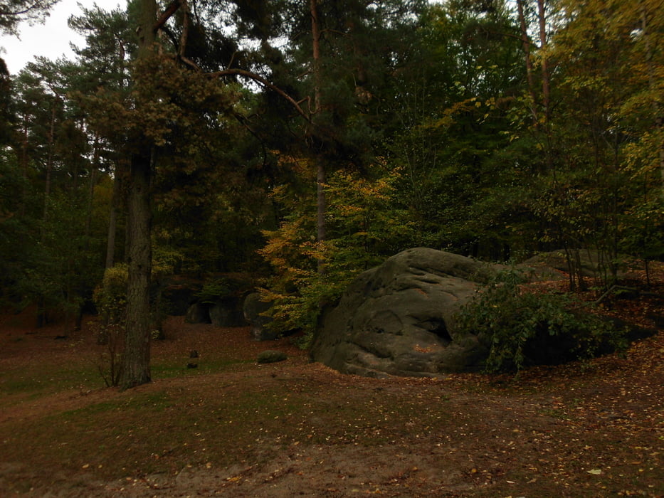 Wandern Wolfsburg Im Wald Am Rabenberg Und Hasselbachtal Tour 166226