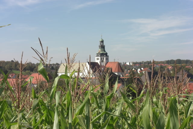 Wandern Monheimer Alb Rundweg Nr. 13 (KaisheimHafenreut