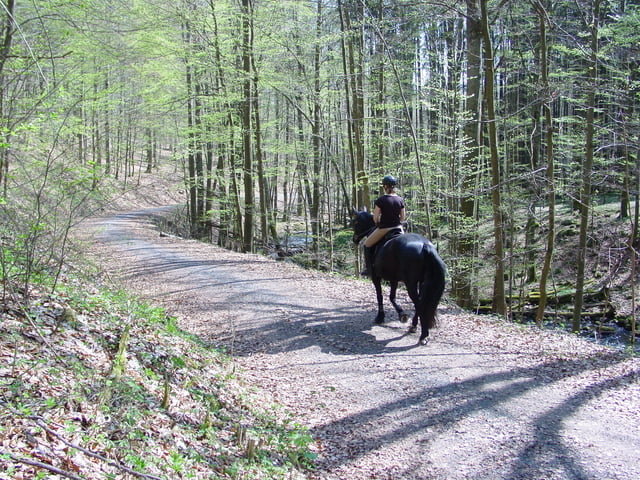 Mountainbike Bike Horse Ab Schweinfurter Haus Uber Lebenhan