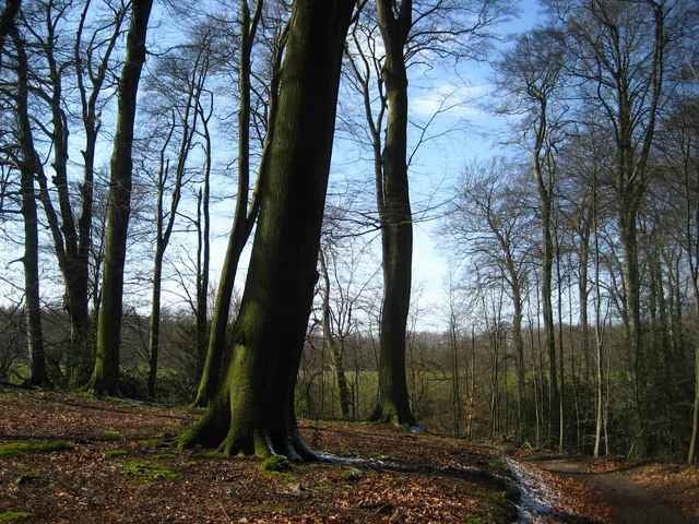 Wandern Aaper Wald (Tour 13954)