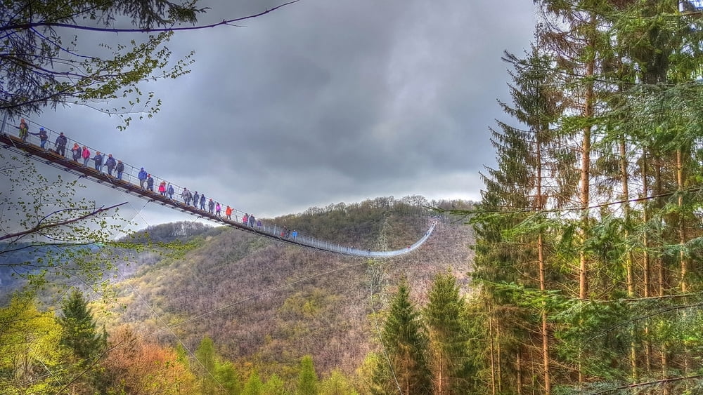 Wandern Die längste Hängeseilbrücke Deutschlands