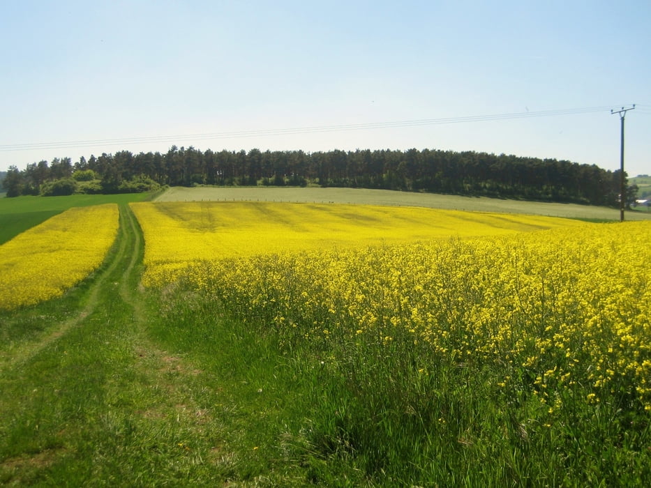 Mountainbike: Eifel: Bad Münstereifel III revisited (Tour ...