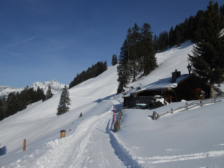 Skitour: Langegg 1899 m im Skigebiet Aberg / Maria Alm (Tour 147741)