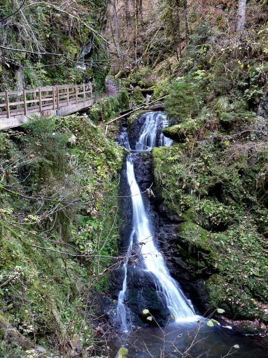 Wandern Lotenbachklamm (Tour 70585)