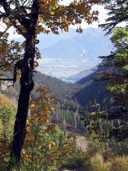 Mountainbike Von Brannenburg Um Den Wendelstein Tour 907