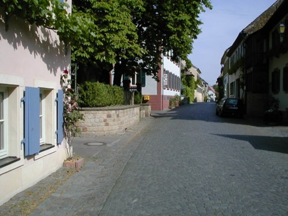 Fahrrad Touring EdenkobenNeustadtMußbachDeidesheim