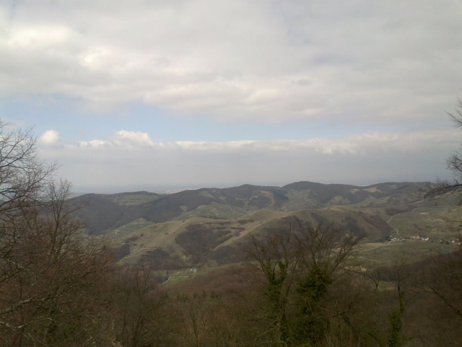 Wandern Kaiserstuhl TotenkopfBadberg 10.6 Km (Tour 115450)